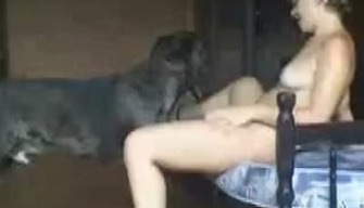 Desnudo zoophile follada por un descarado gris perro