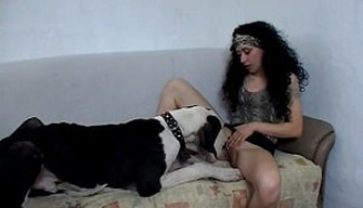 Una cachonda chica se folla a su propio perro y chupa su polla. Real videos porno con animales