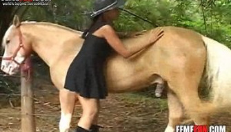 A menina com sede chupado o pau de um cavalo vermelho