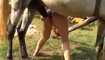 Eläin pornoa: nainen villi gets perseestä mukaan a horse