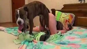 Jeune fille russe saccouplait avec son petit ami de chien