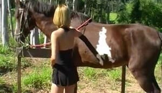 Experienced girl gets fucked by a mighty horse